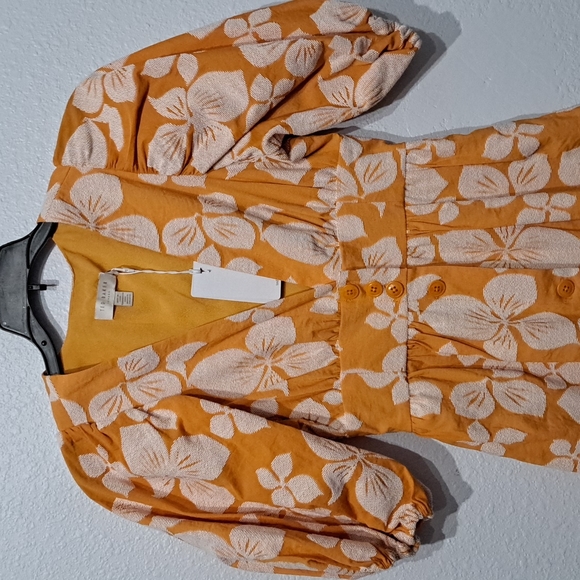 Ted Baker London Cinthy Floral Jacquard A-Line Dress - Picture 8 of 12